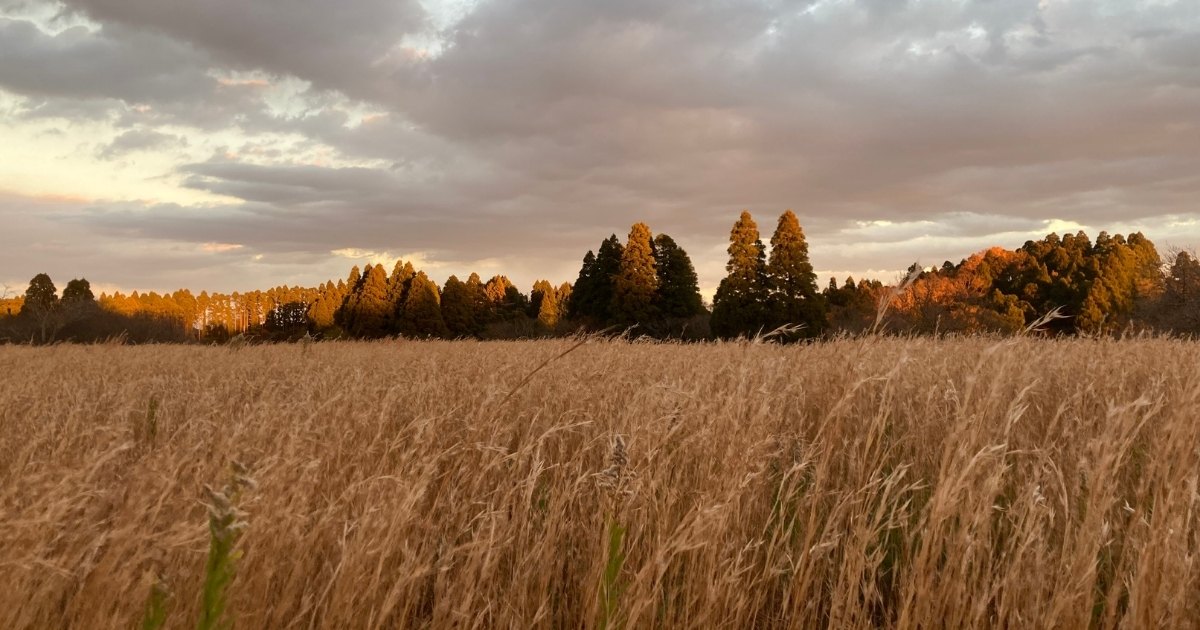 かみあわない想い！カサンドラのつぶやき