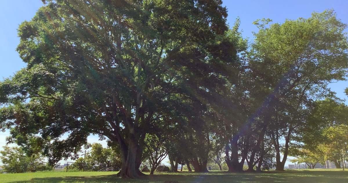 遅すぎるはない！