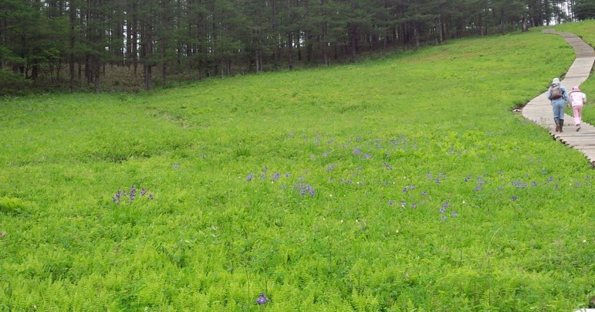 公認心理師試験合格しました！新HP完成！