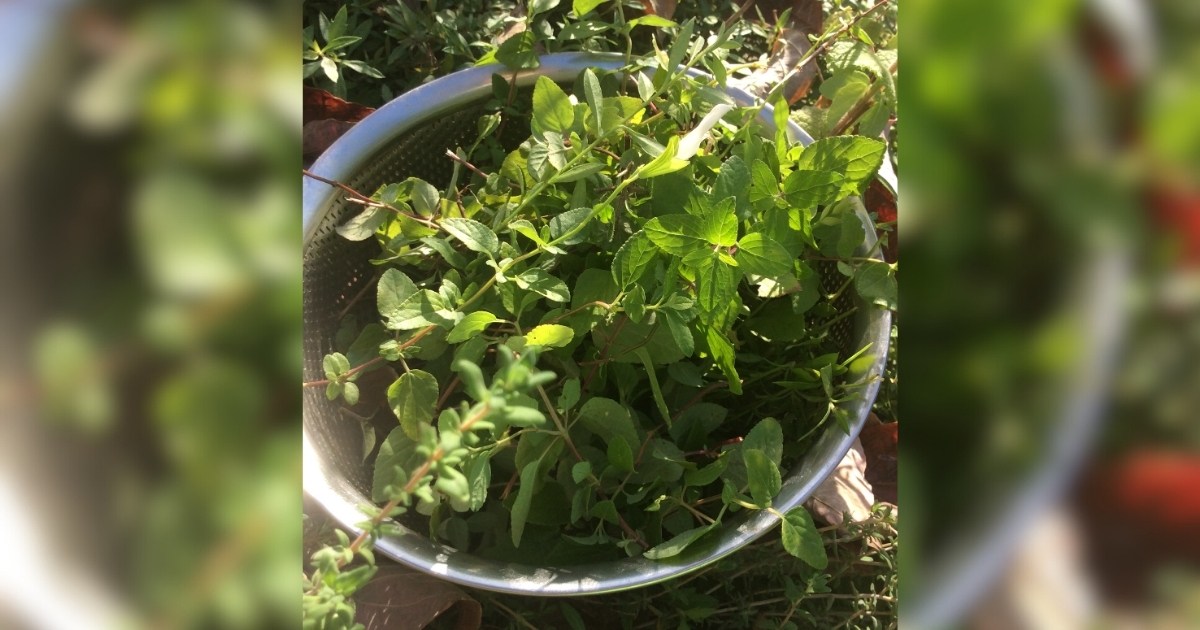 フレッシュハーブティーとお待ちします